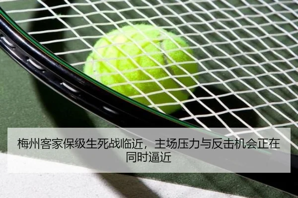 img_1782894235204_623_2_415.jpg